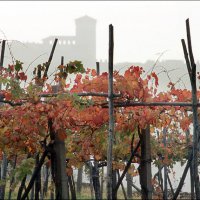 Cascina Piano Autunno